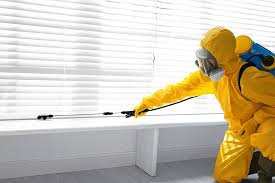 Best Termite Inspection and Treatment  in Hunters Creek Village, TX